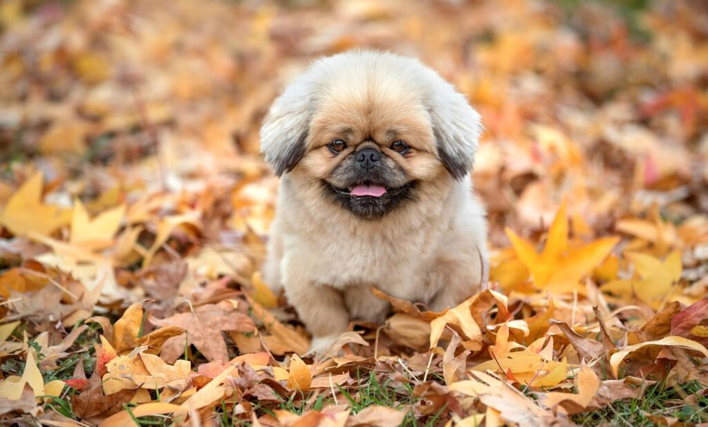 セックスレスをテーマにした映画Nightプランはどんな内容が楽しめる？