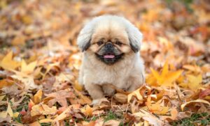 セックスレス解消のための看護師向けケア方法とは？