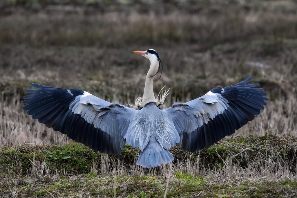 セックスレスの長い夫婦が婚姻期間中に解決するためのヒントは？