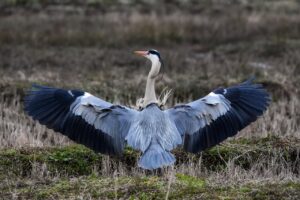 セックスレスの長い夫婦が婚姻期間中に解決するためのヒントは？