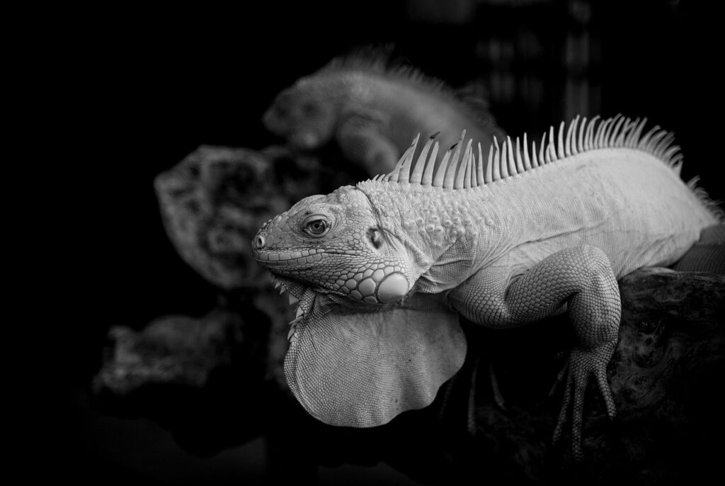 セックスレス解消に役立つ医療用潤滑剤の使い方は？