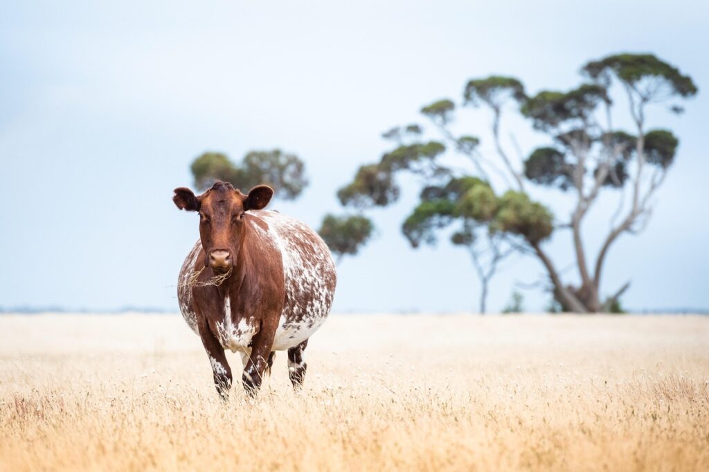 妊娠後期に無性欲を感じる理由と対処法は？