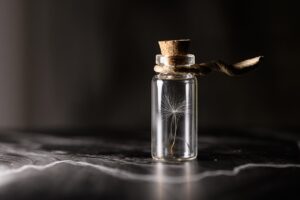 夫婦の再接続に役立つ心理学ベースの方法は？