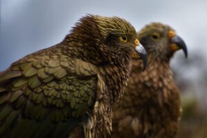 膣ケアで自分を大切にする方法とは？
