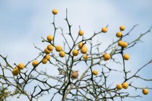 膣乾燥の悩みを解消するフェムケアの対策方法は？