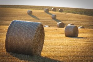 セックスレスが離婚率に与える影響とは？実際どうなのか知りたい方へ